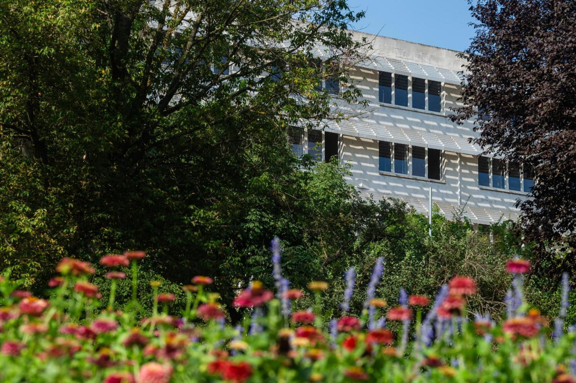 Moricz Student Living