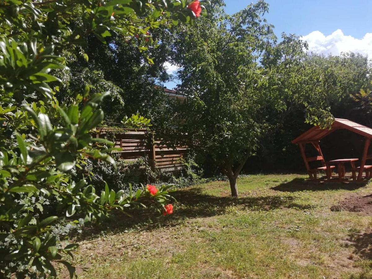 Rakos-Patak Family House Garden & Free Parking